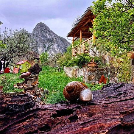 Vila Golemi Kamik Pirot Exteriér fotografie