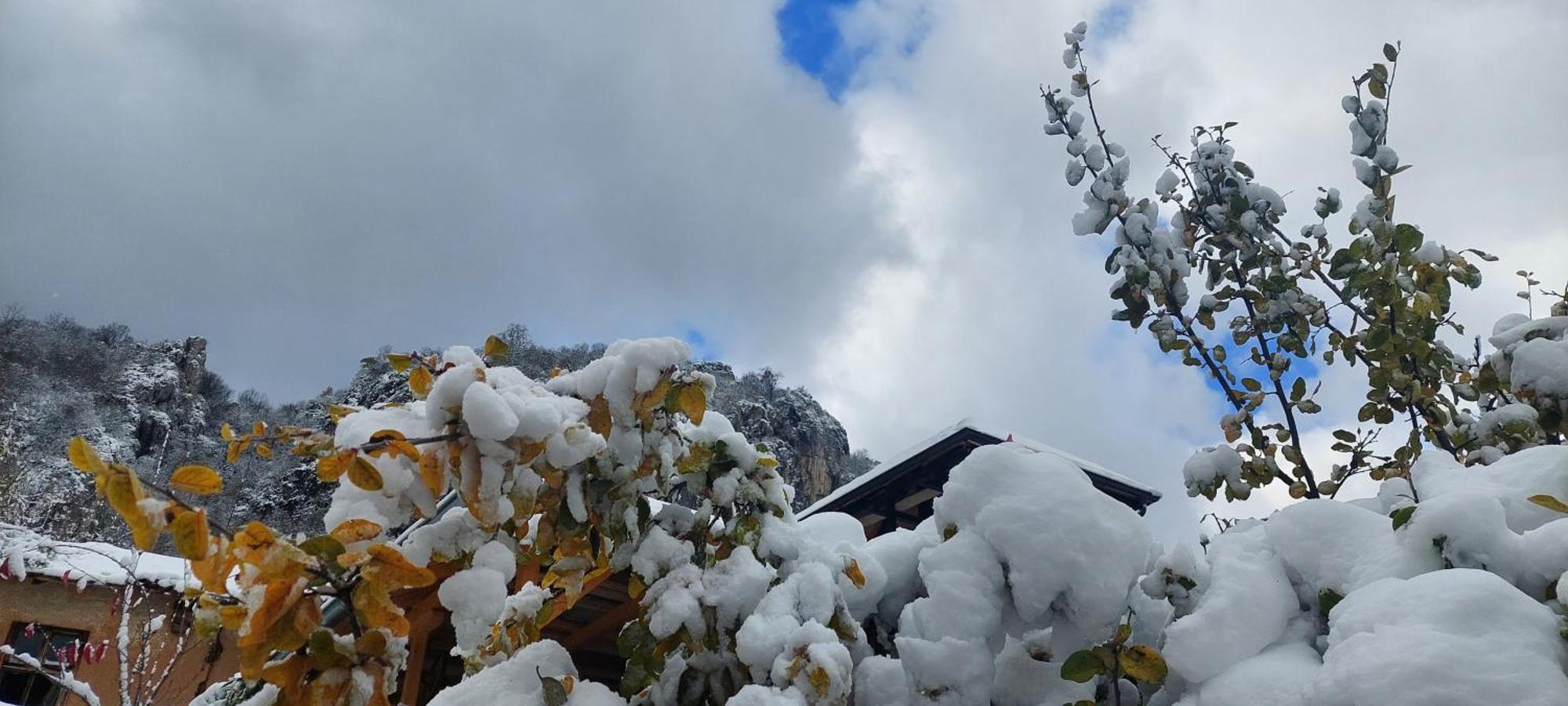 Vila Golemi Kamik Pirot Exteriér fotografie