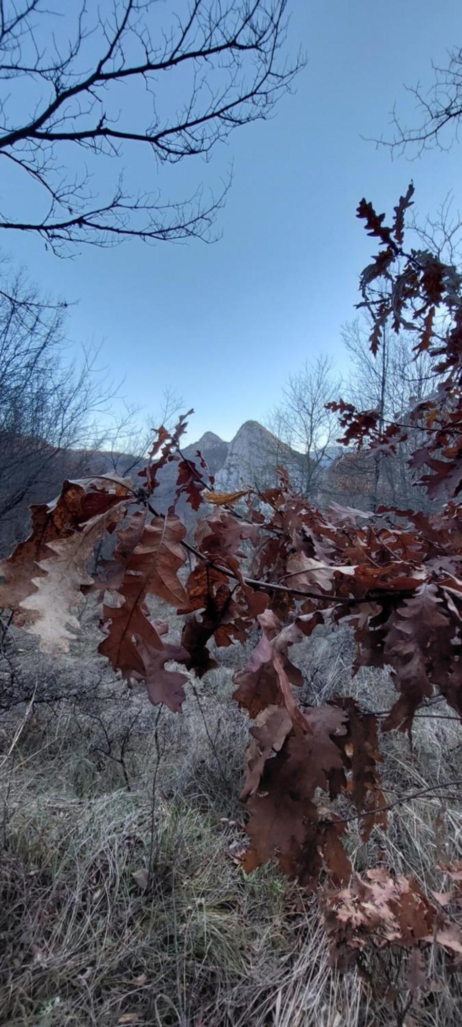 Vila Golemi Kamik Pirot Exteriér fotografie