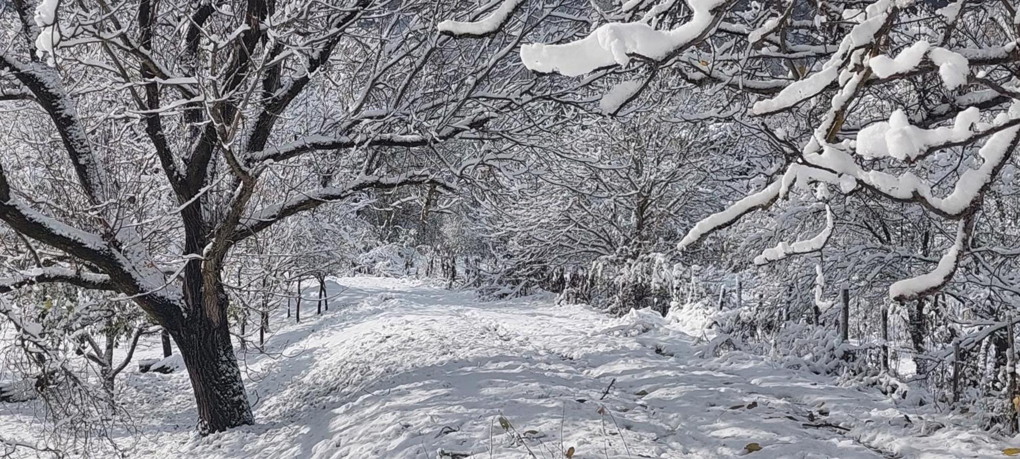 Vila Golemi Kamik Pirot Exteriér fotografie