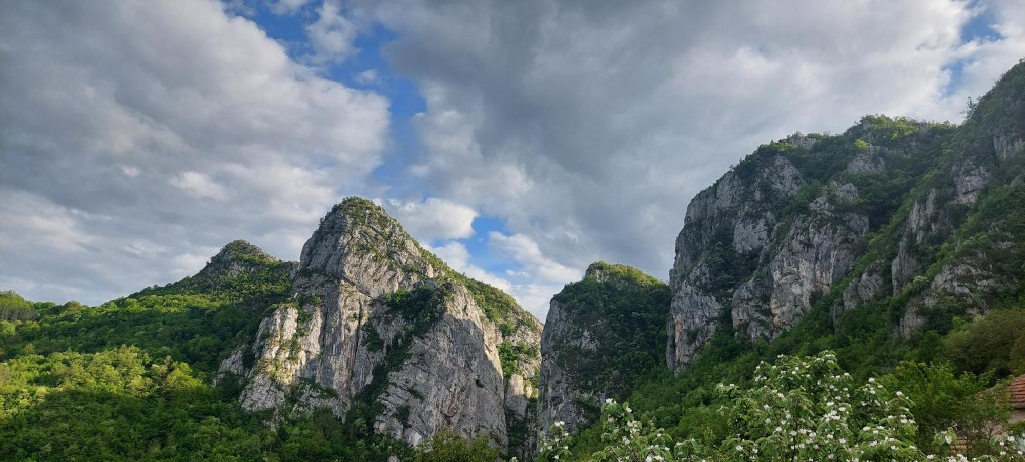 Vila Golemi Kamik Pirot Exteriér fotografie