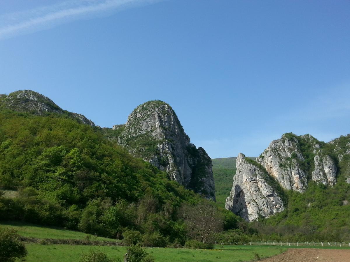 Vila Golemi Kamik Pirot Exteriér fotografie