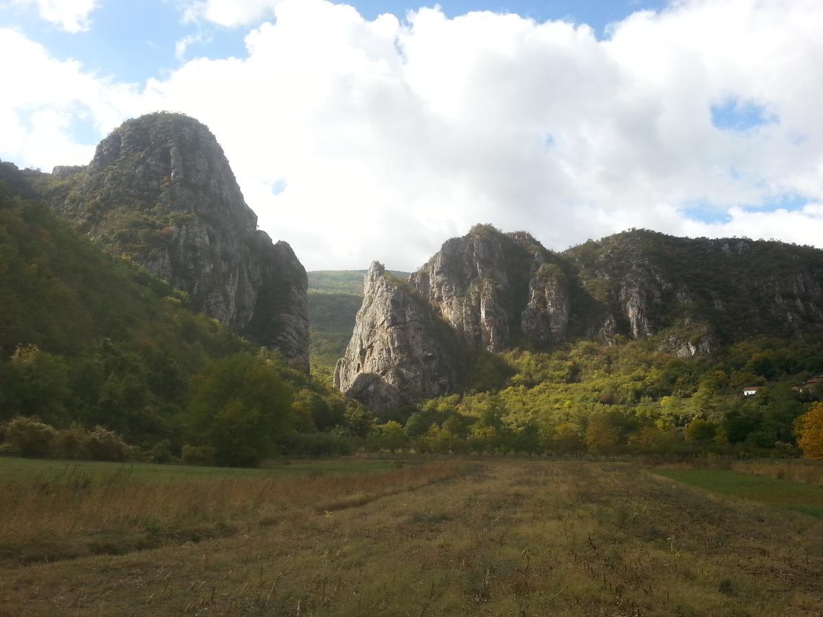 Vila Golemi Kamik Pirot Exteriér fotografie