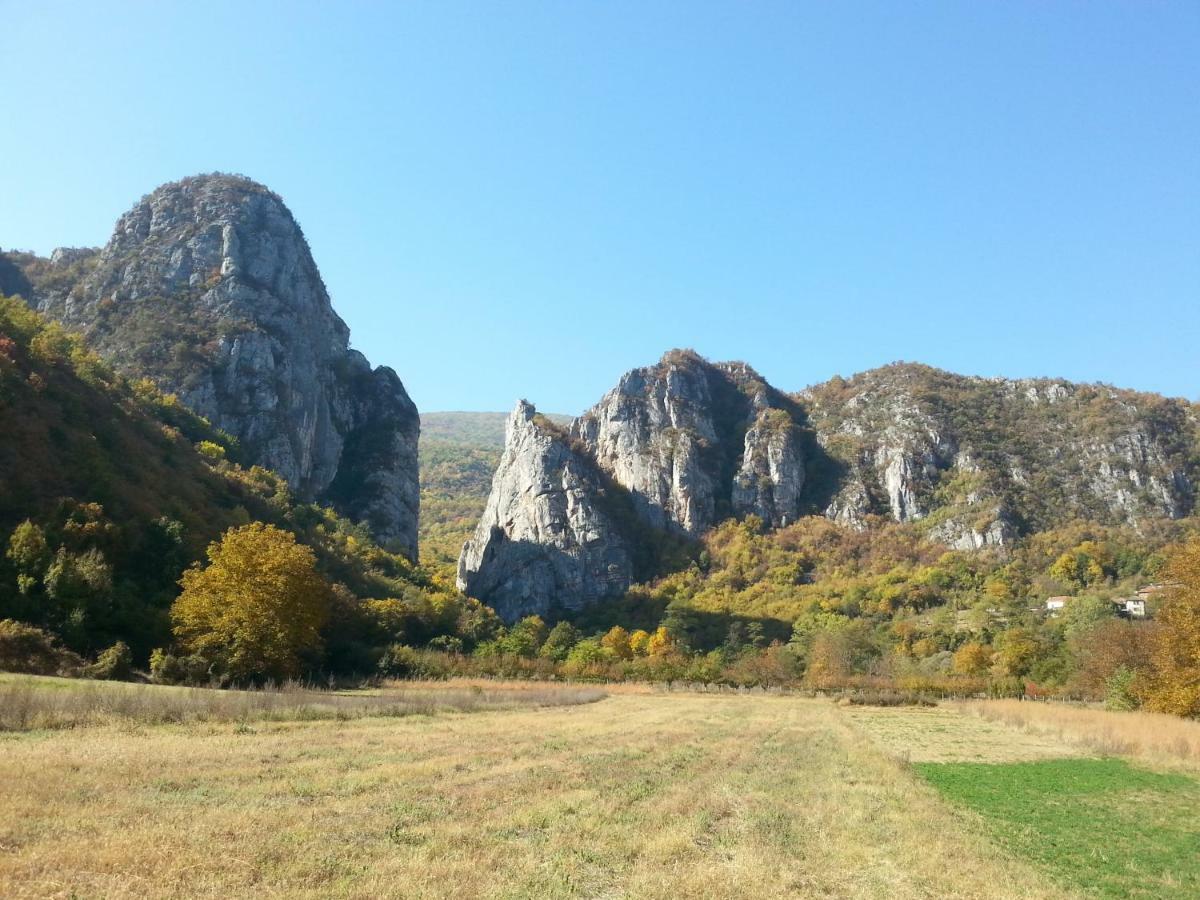 Vila Golemi Kamik Pirot Exteriér fotografie