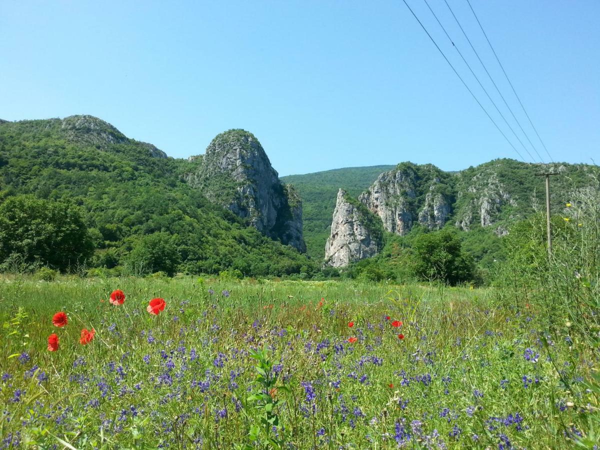 Vila Golemi Kamik Pirot Exteriér fotografie